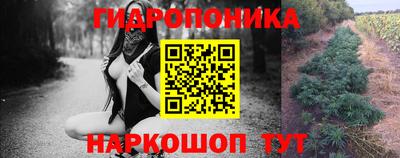 PSILOCYBIN Краснознаменск
