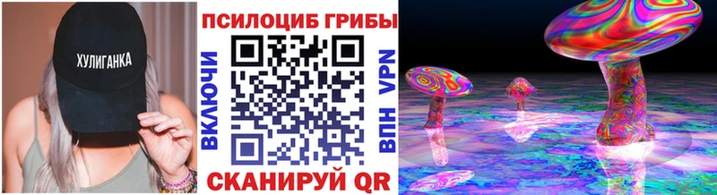 Псилоцибиновые грибы GOLDEN TEACHER  где купить наркоту  Дивногорск 